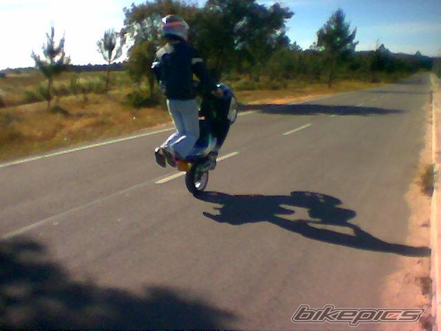 Photo 146885