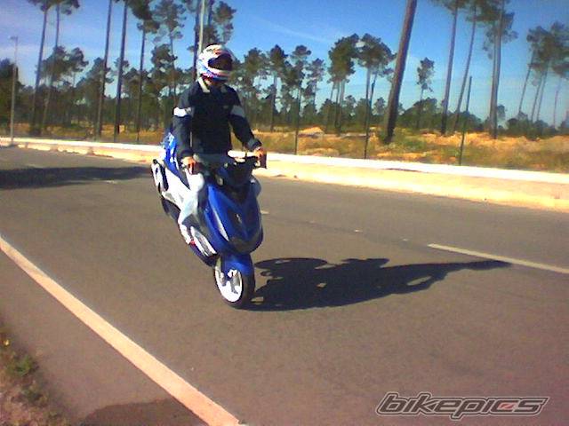Photo 146887