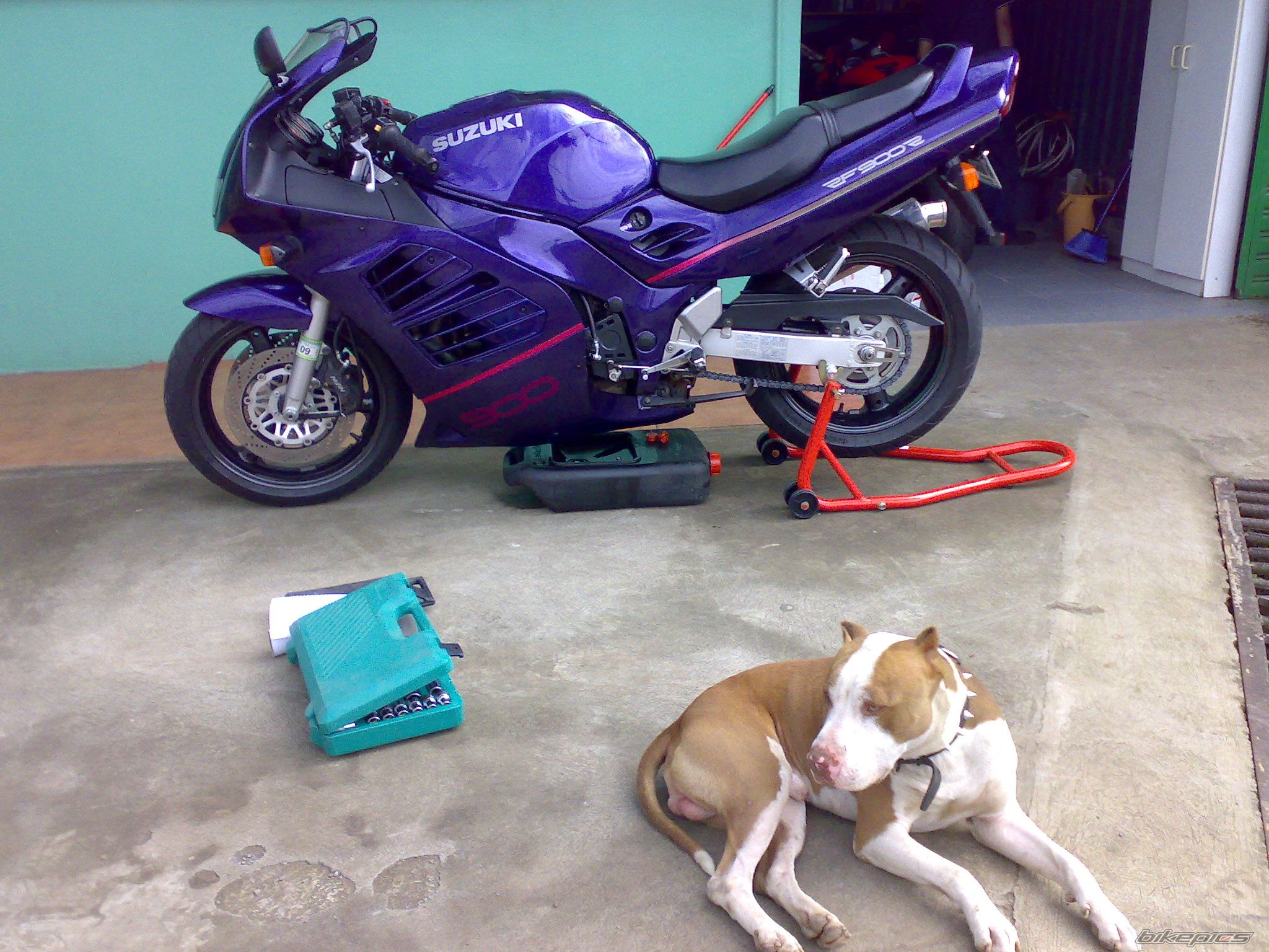 Photo 1468940