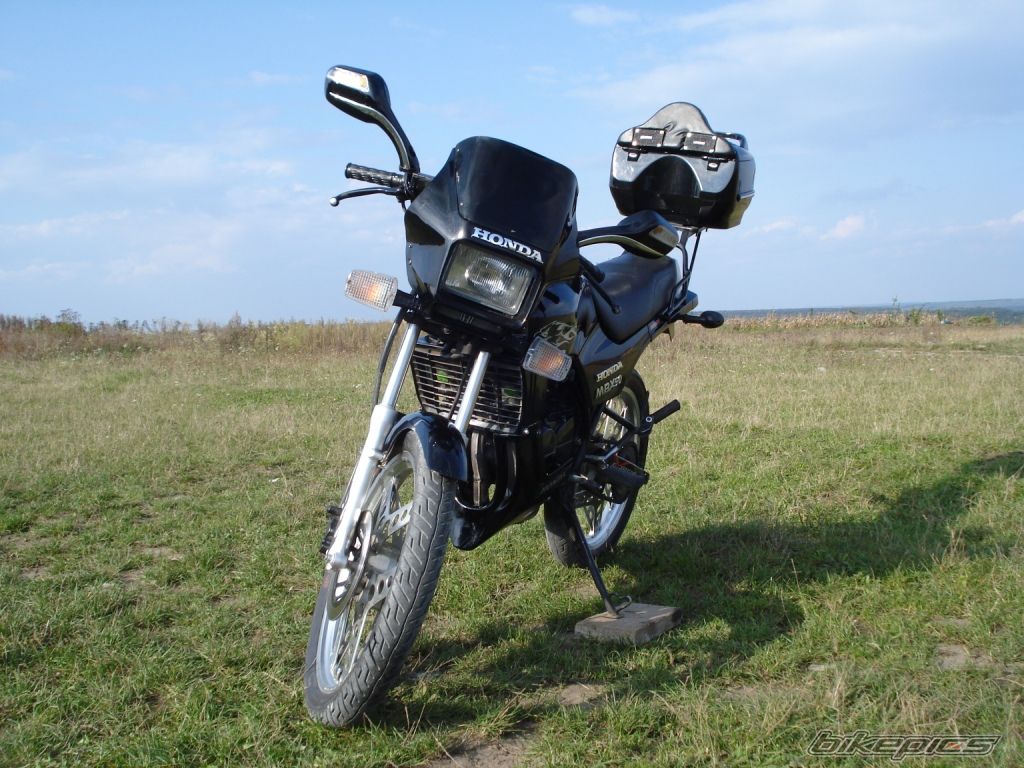 Photo 1469069