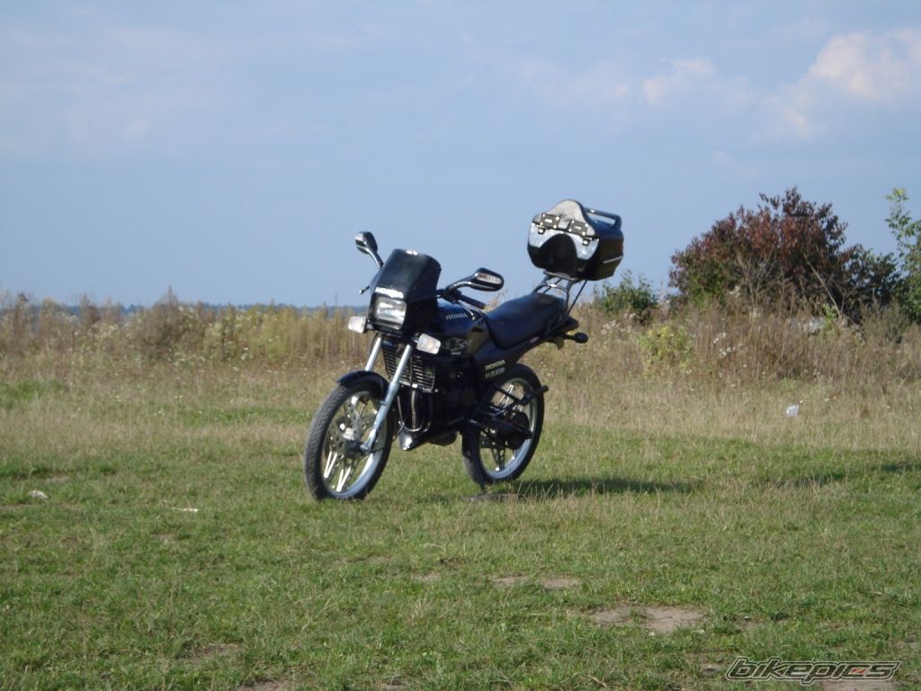 Photo 1469077