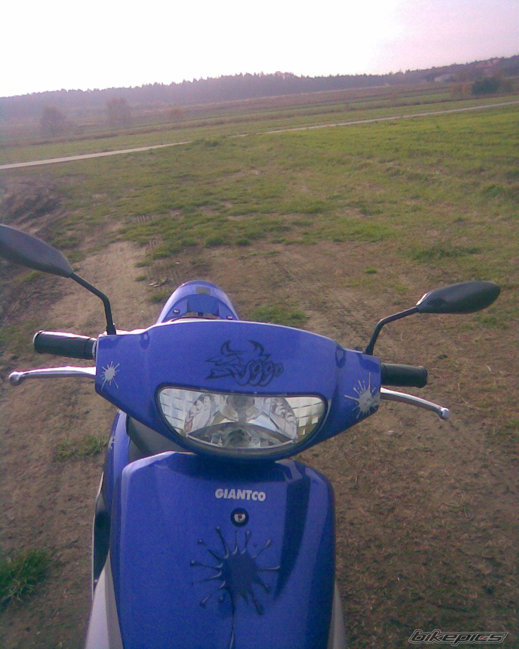 Photo 1469180