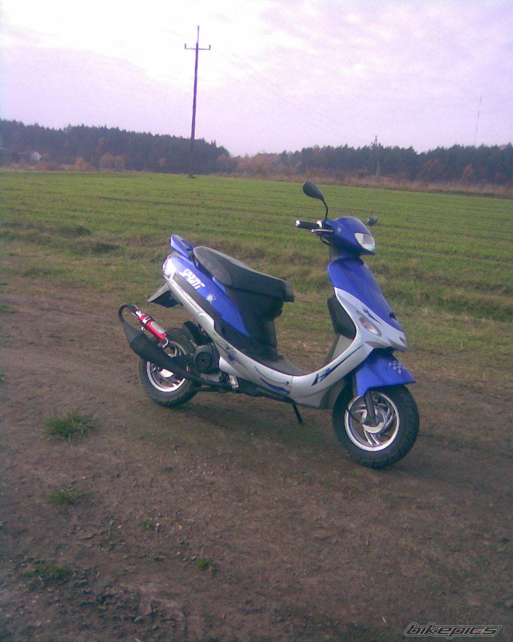 Photo 1469195