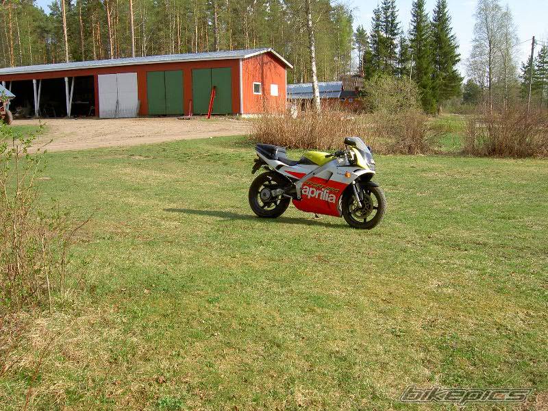 Photo 146923