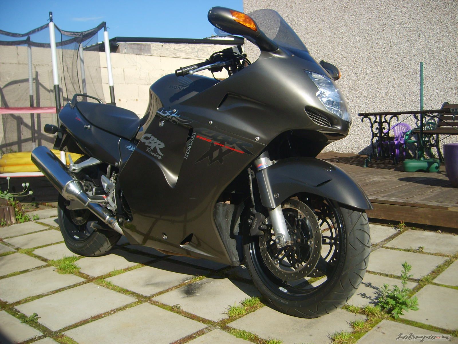 Photo 1469264