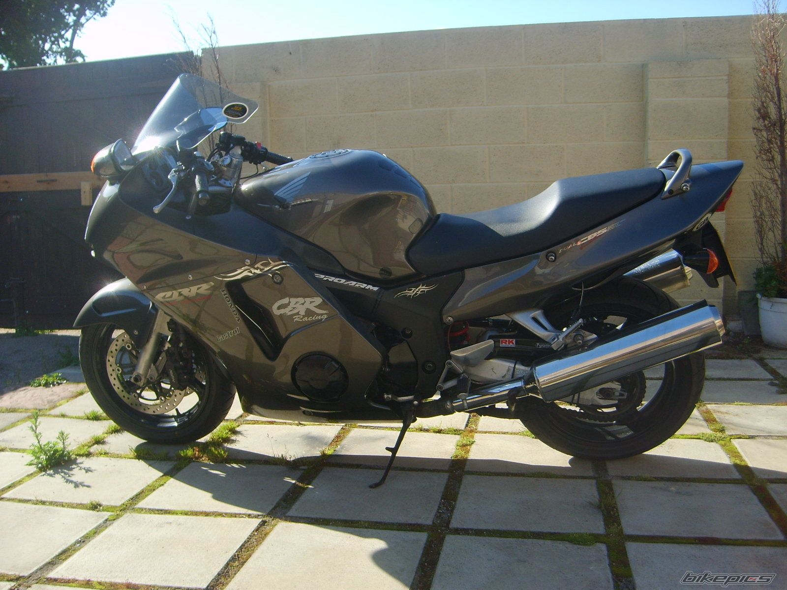 Photo 1469270