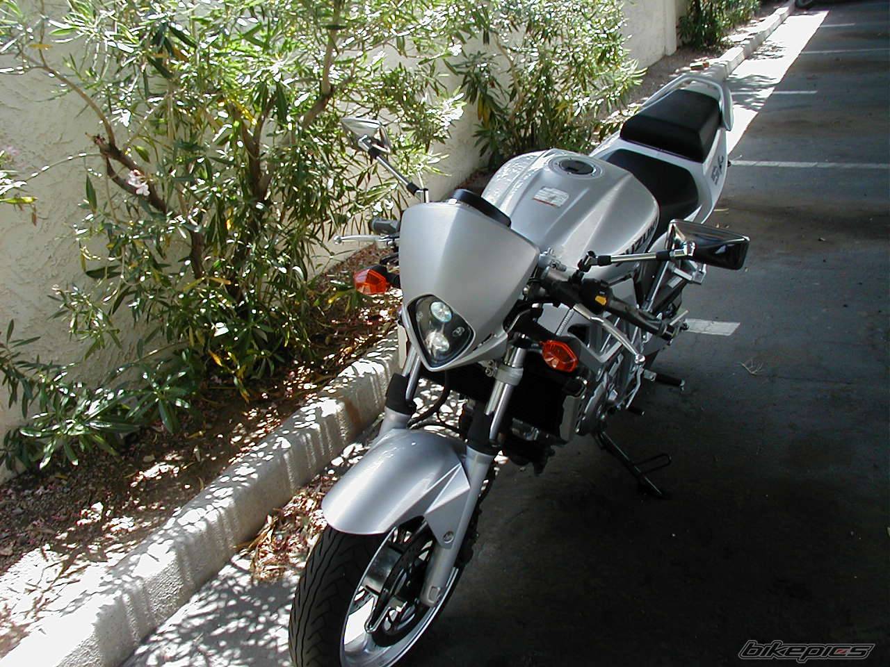 Photo 146933