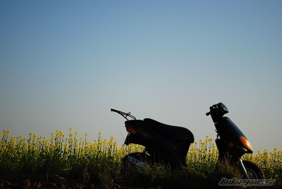 Photo 1469331