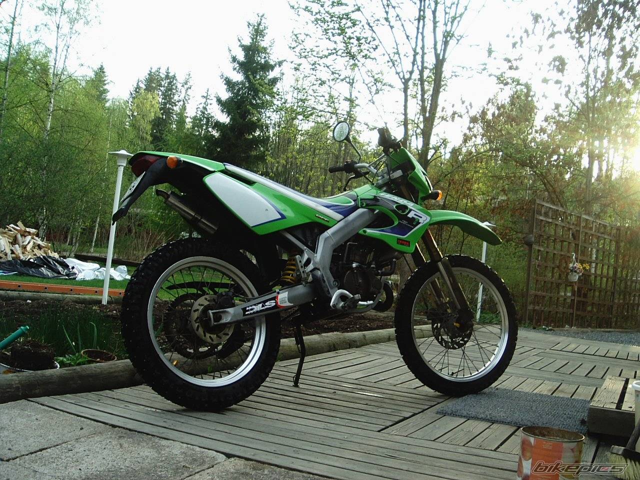 Photo 146941