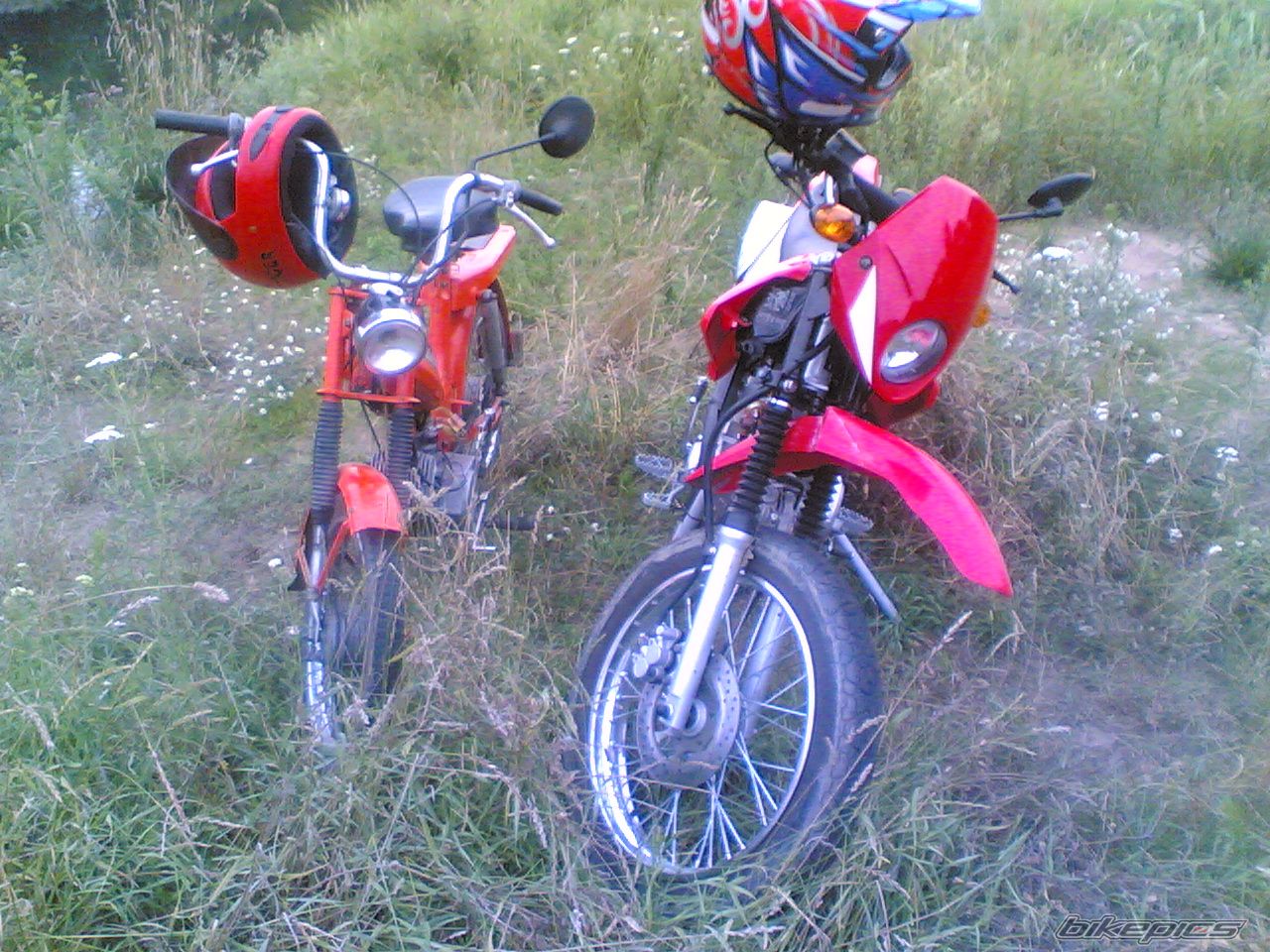 Photo 1469418