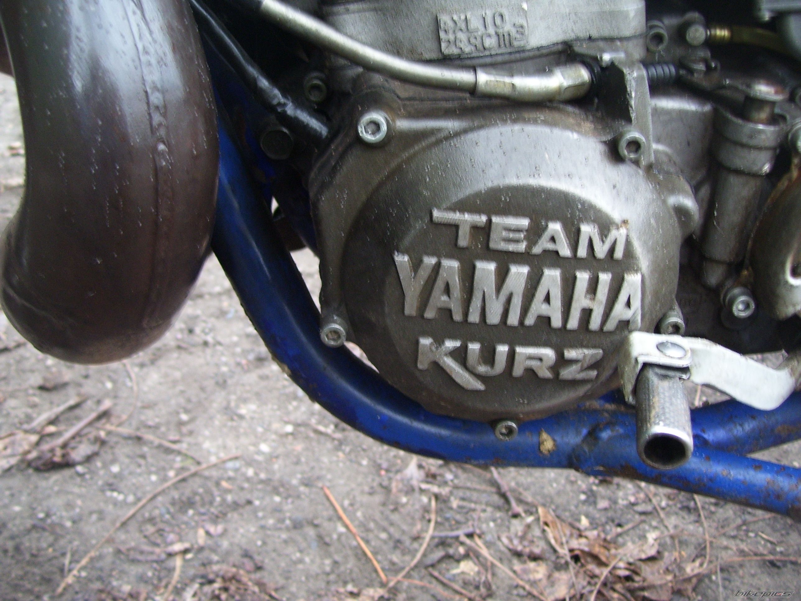 Photo 1469433