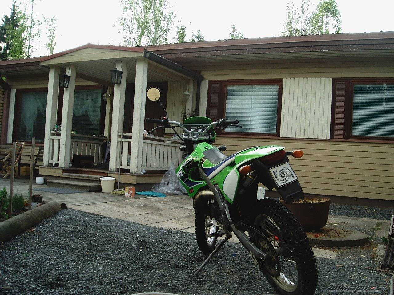 Photo 146945