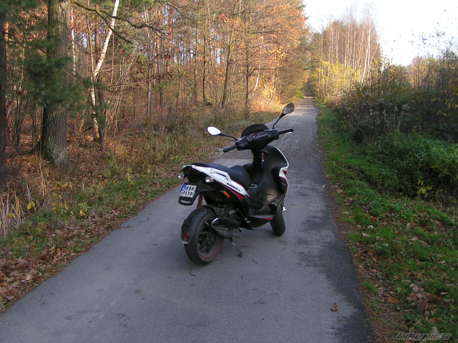 Photo 1469458