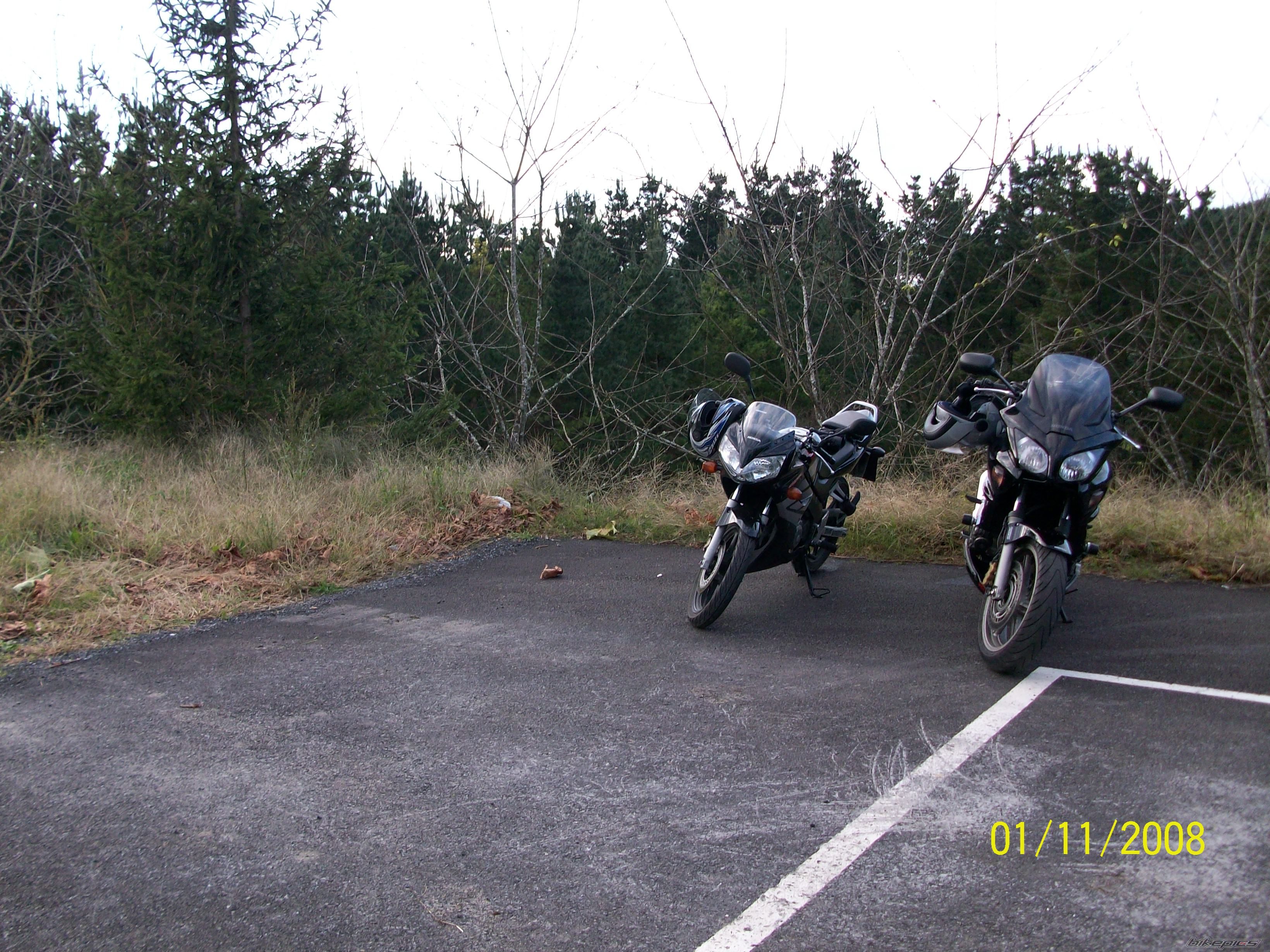Photo 1469459