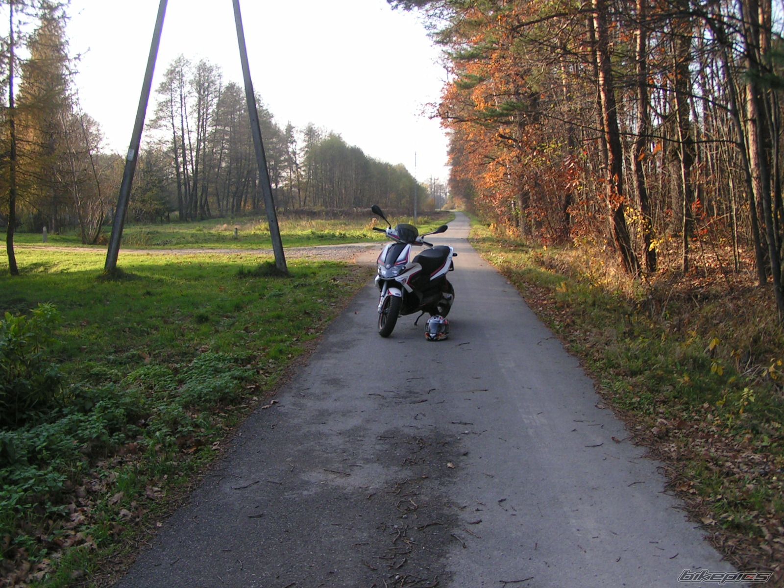 Photo 1469460