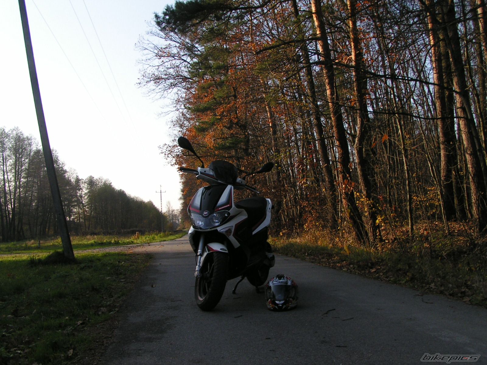 Photo 1469463