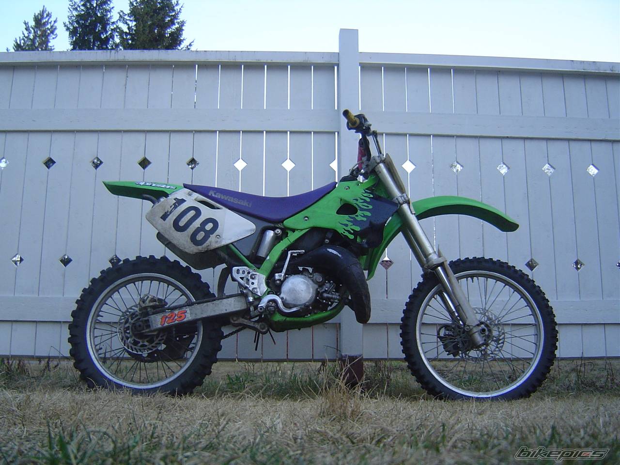 Photo 146951