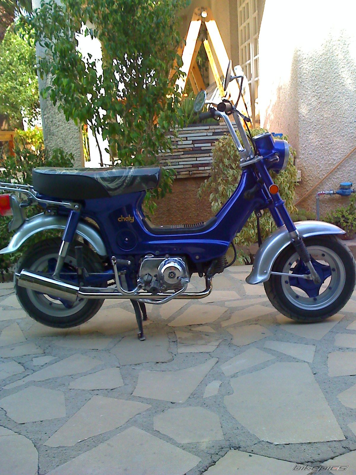 Photo 1469526