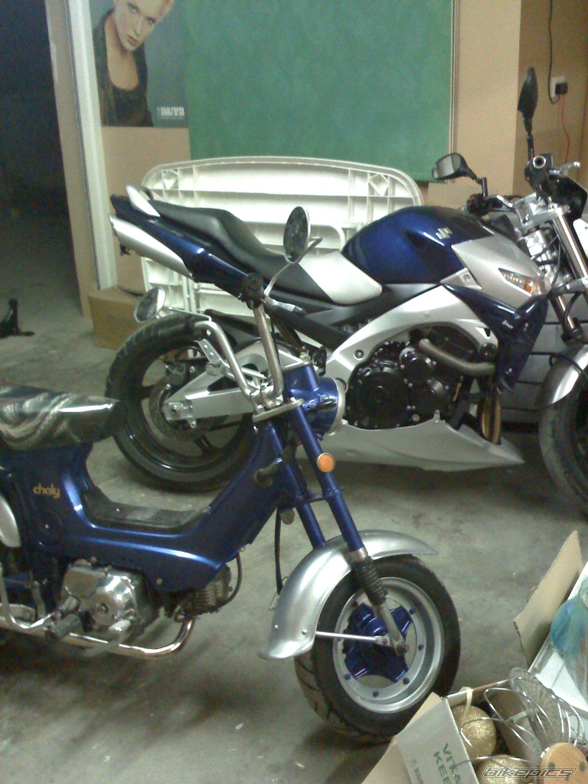 Photo 1469528