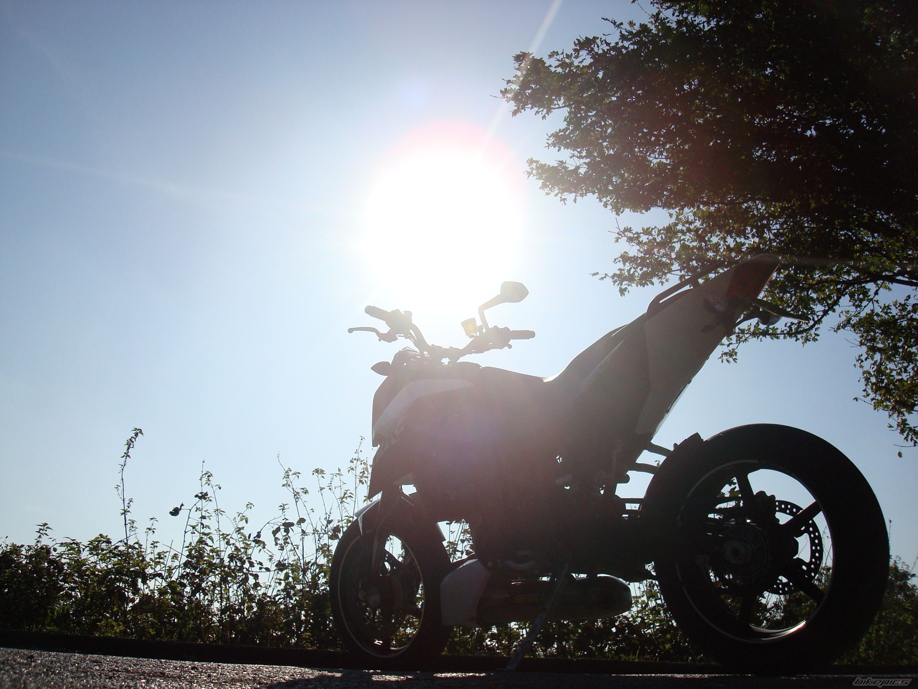 Bike Photo 1469559
