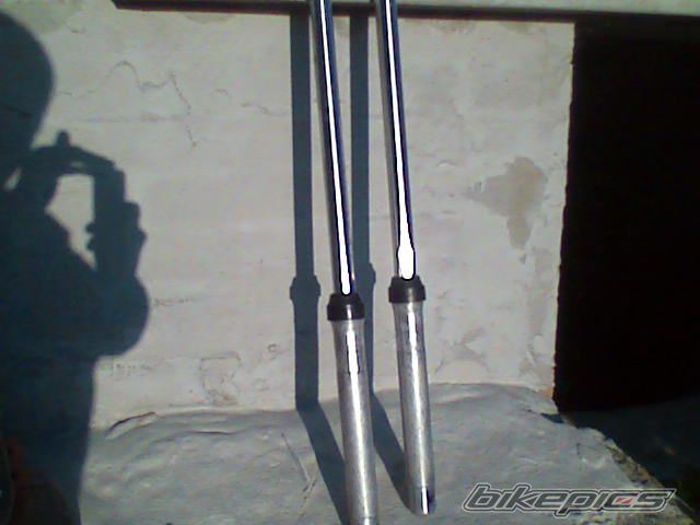 Bike Photo 1469616
