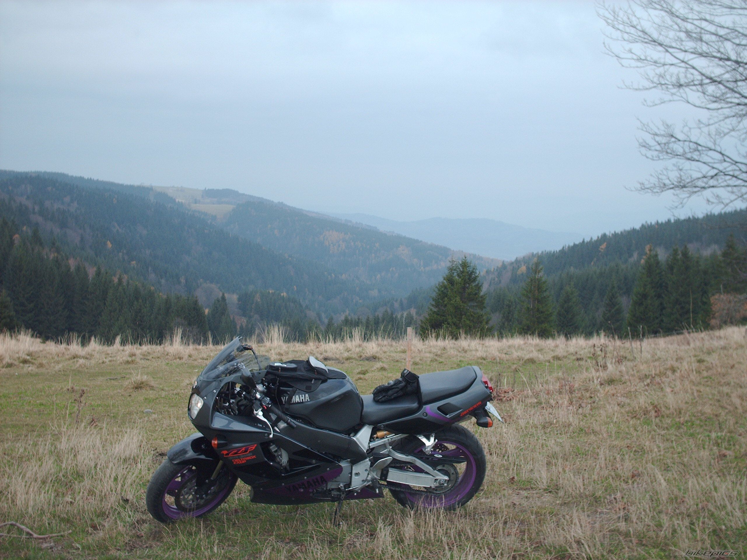 Photo 1469632
