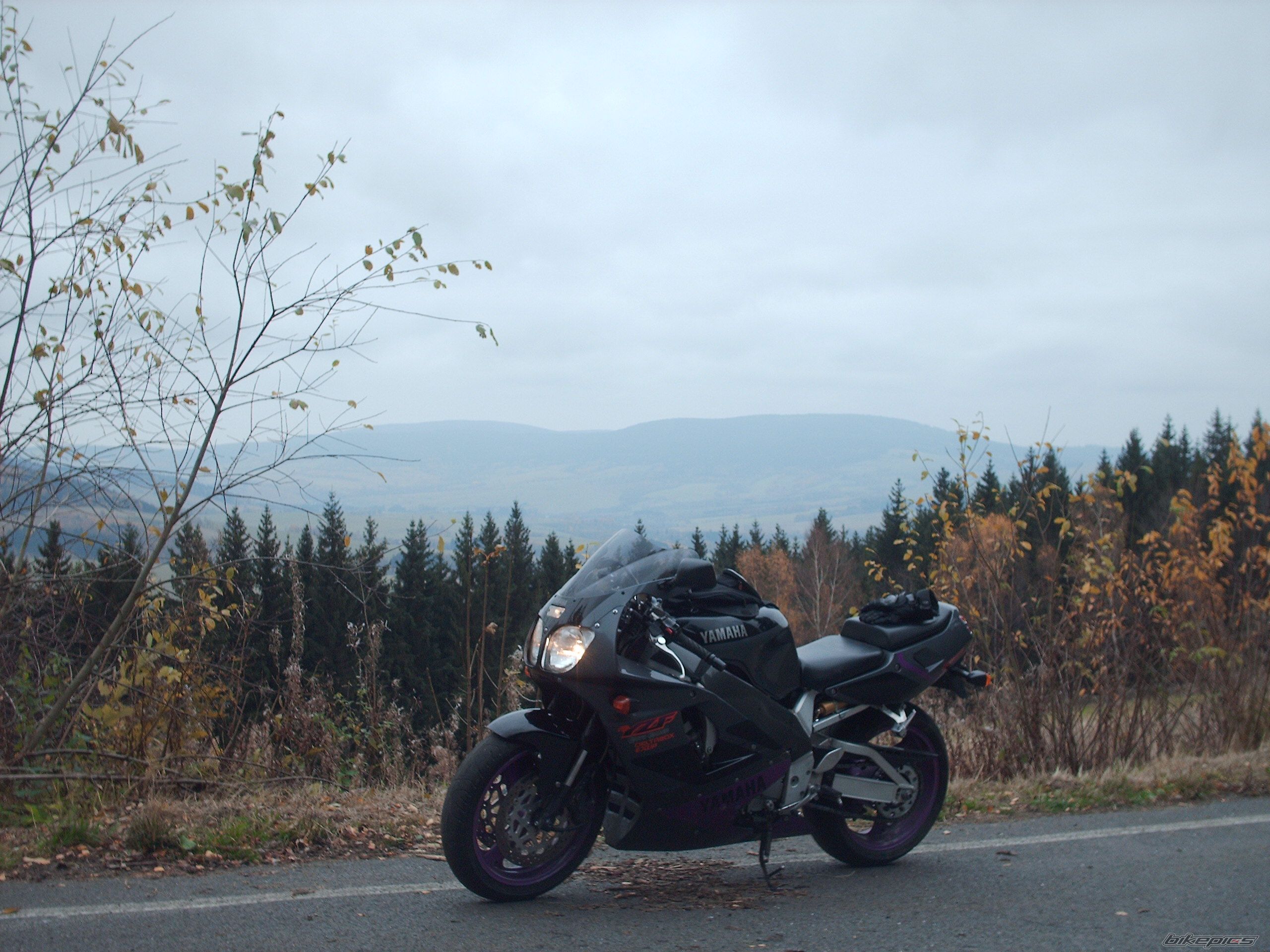 Photo 1469635