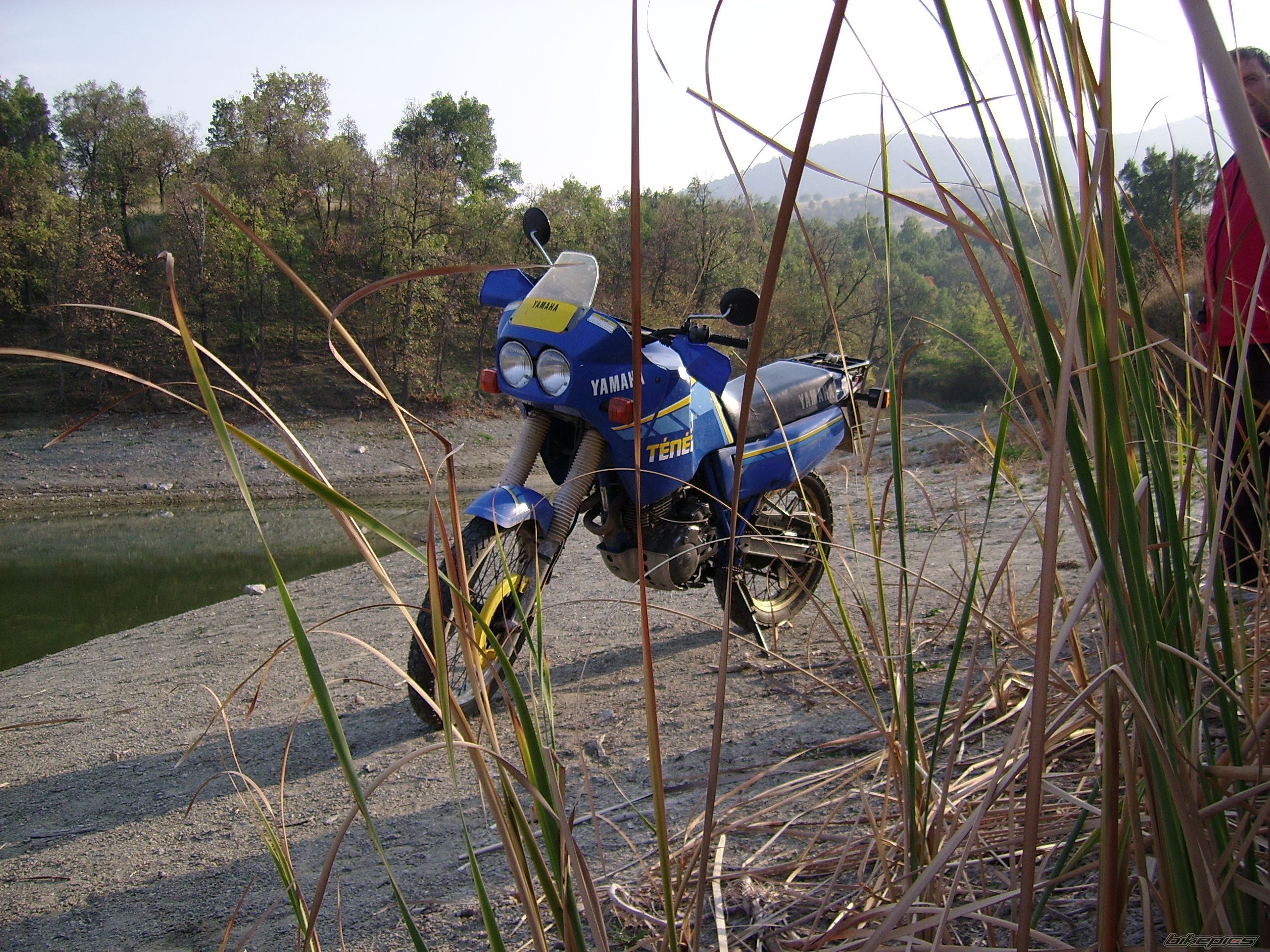 Photo 1469677