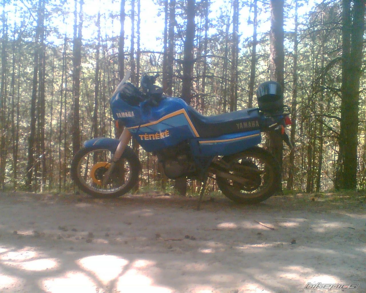 Photo 1469681