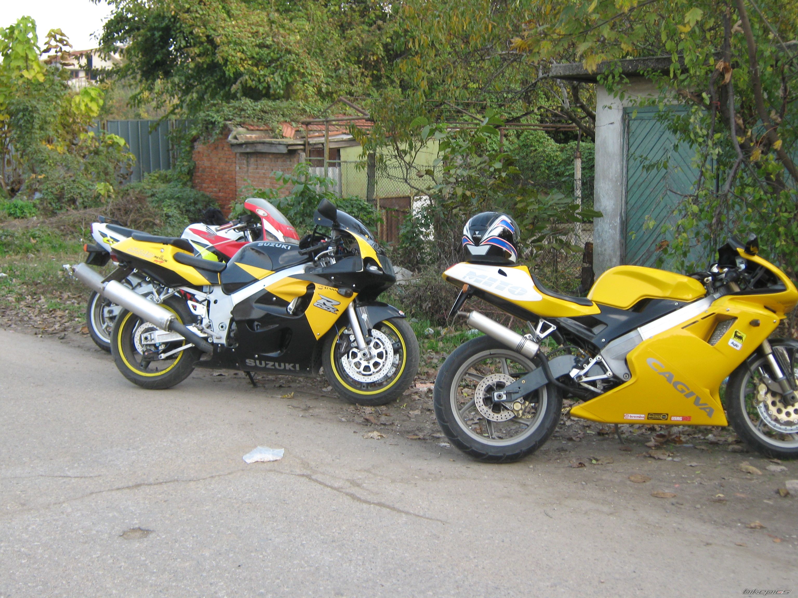 Photo 1469739