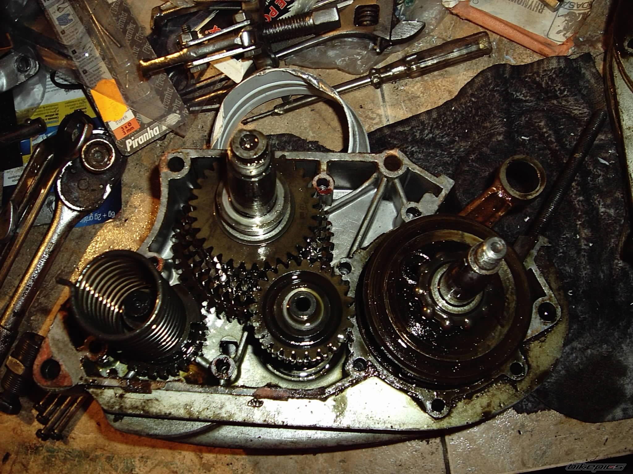 Photo 146975