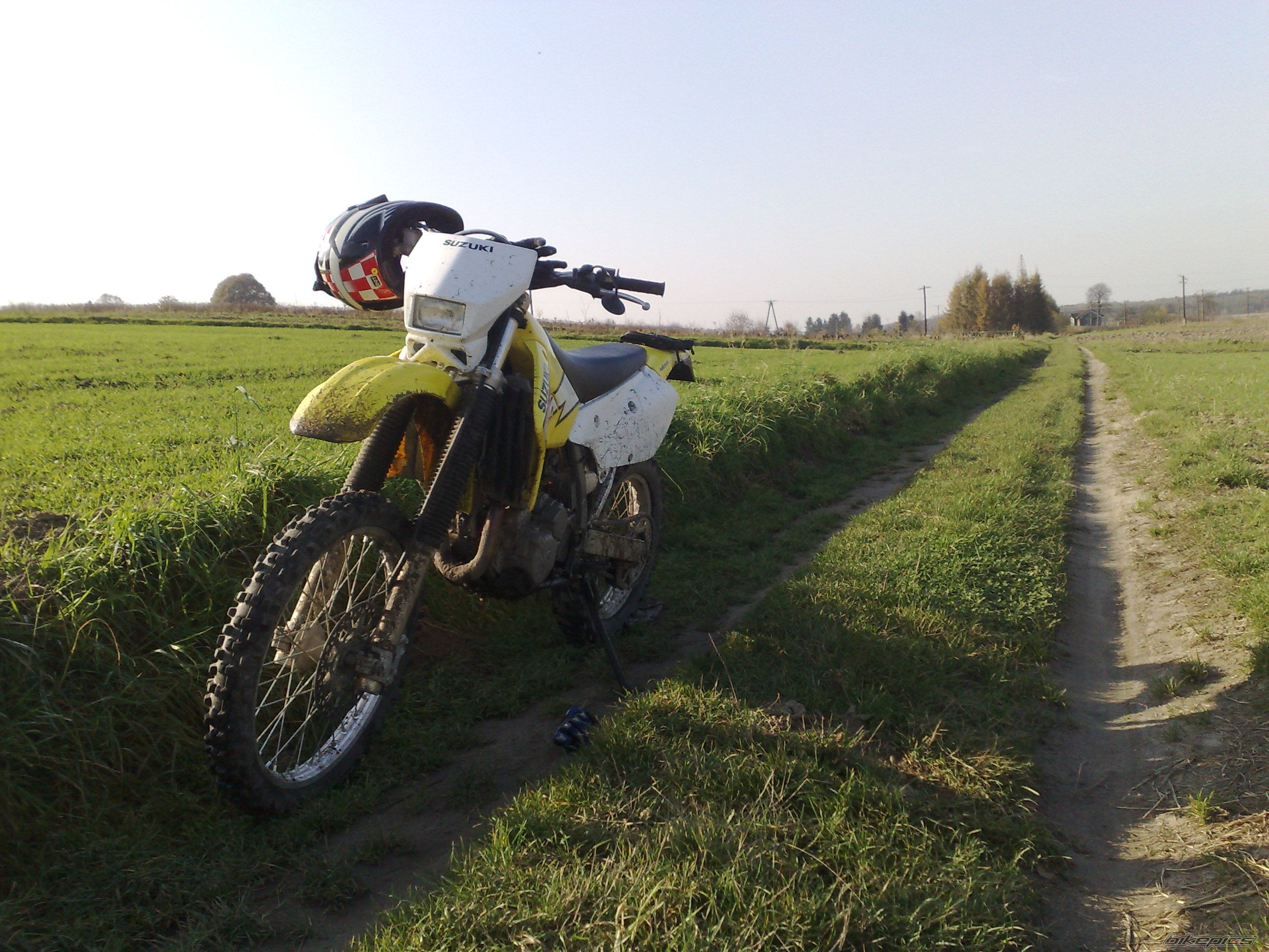Photo 1469779