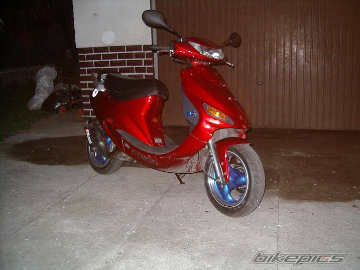 Photo 146978