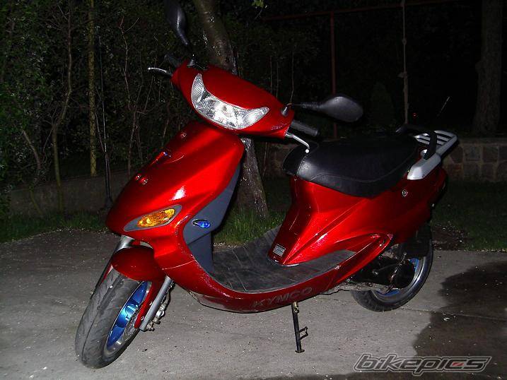 Photo 146979