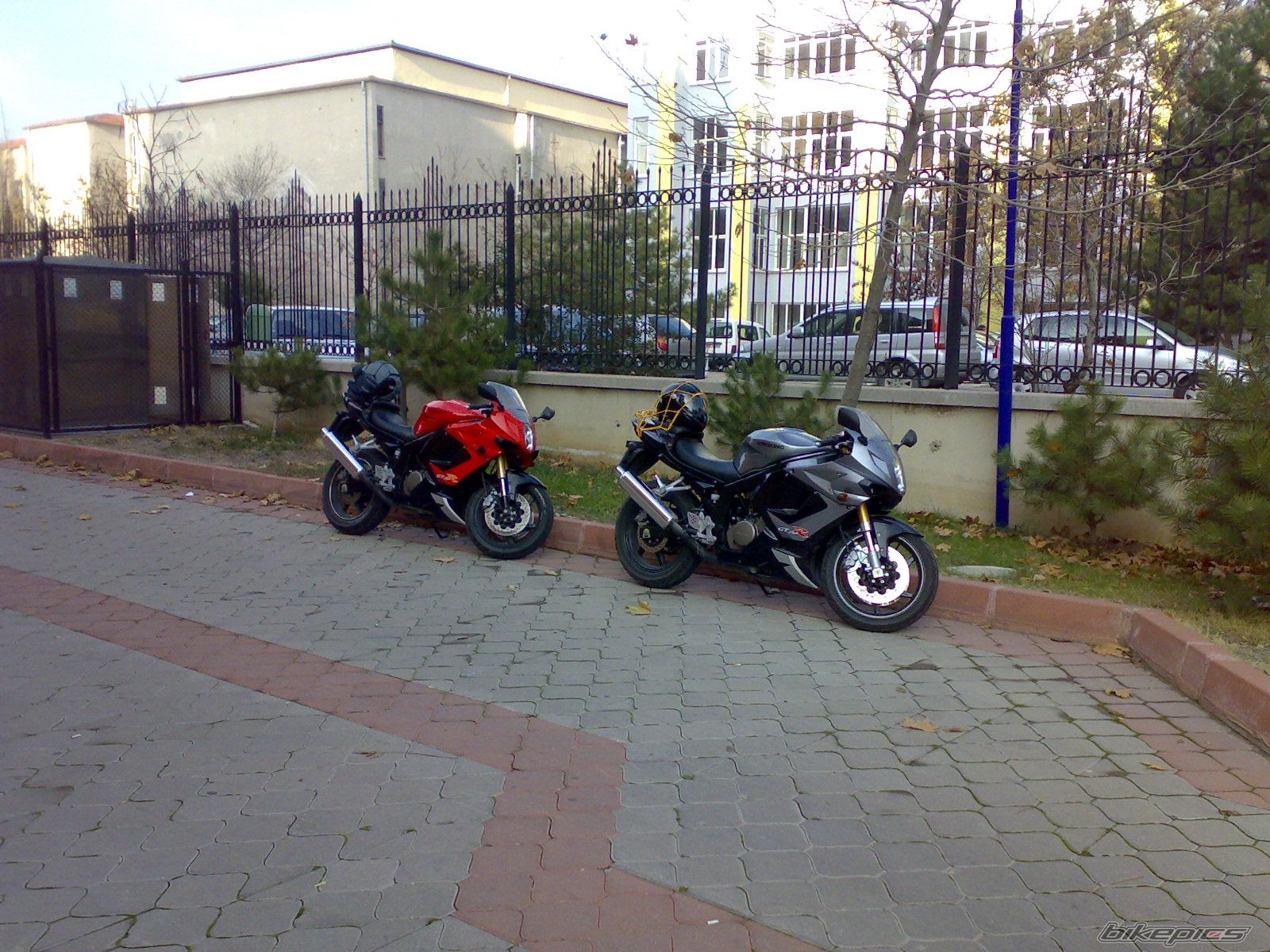 Photo 1469826