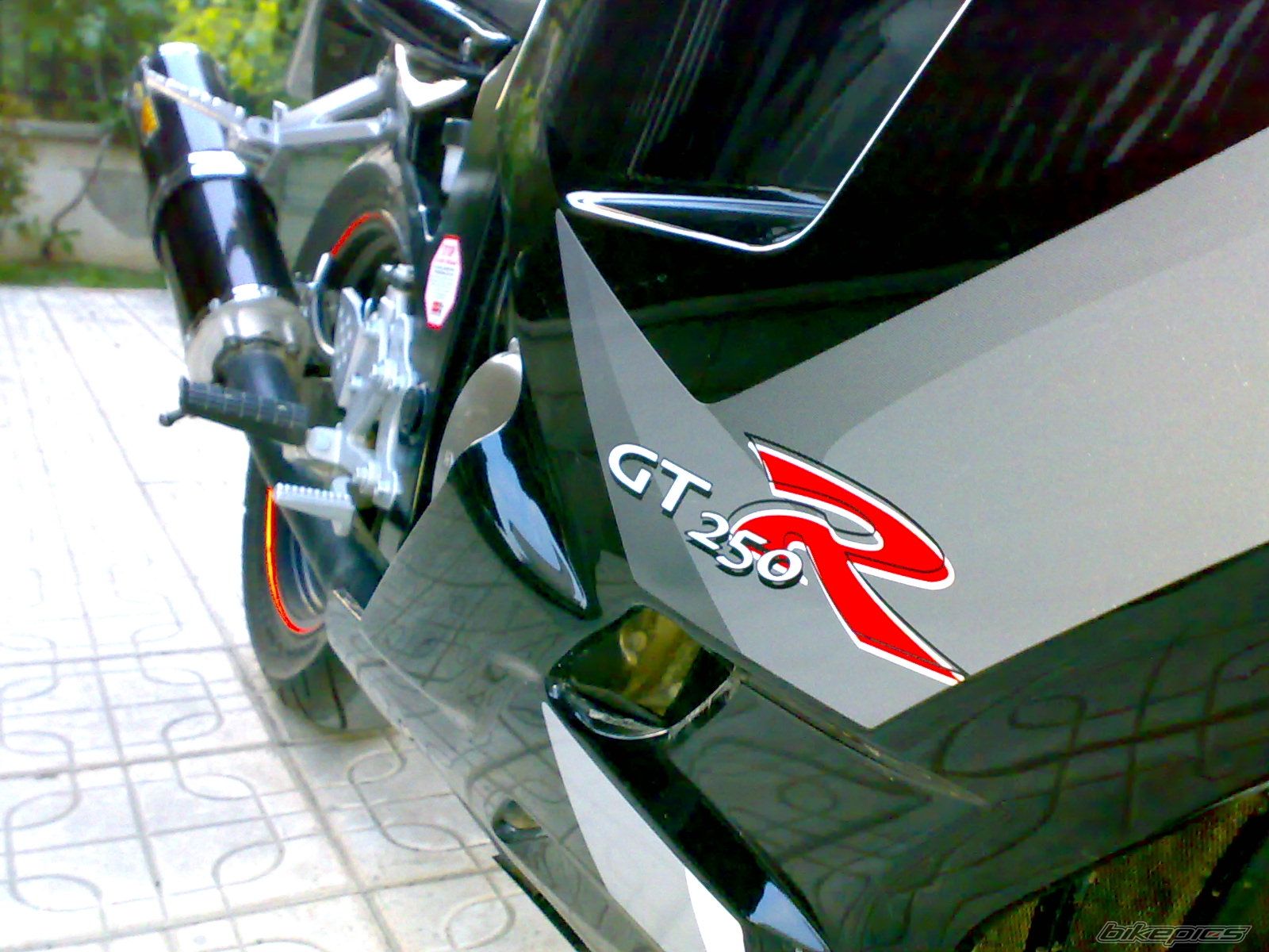 Photo 1469841