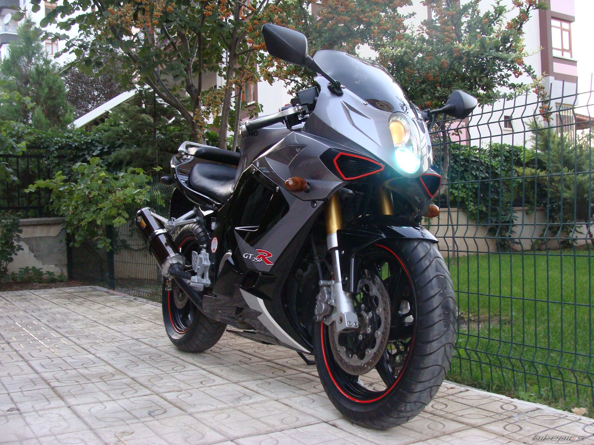 Photo 1469861