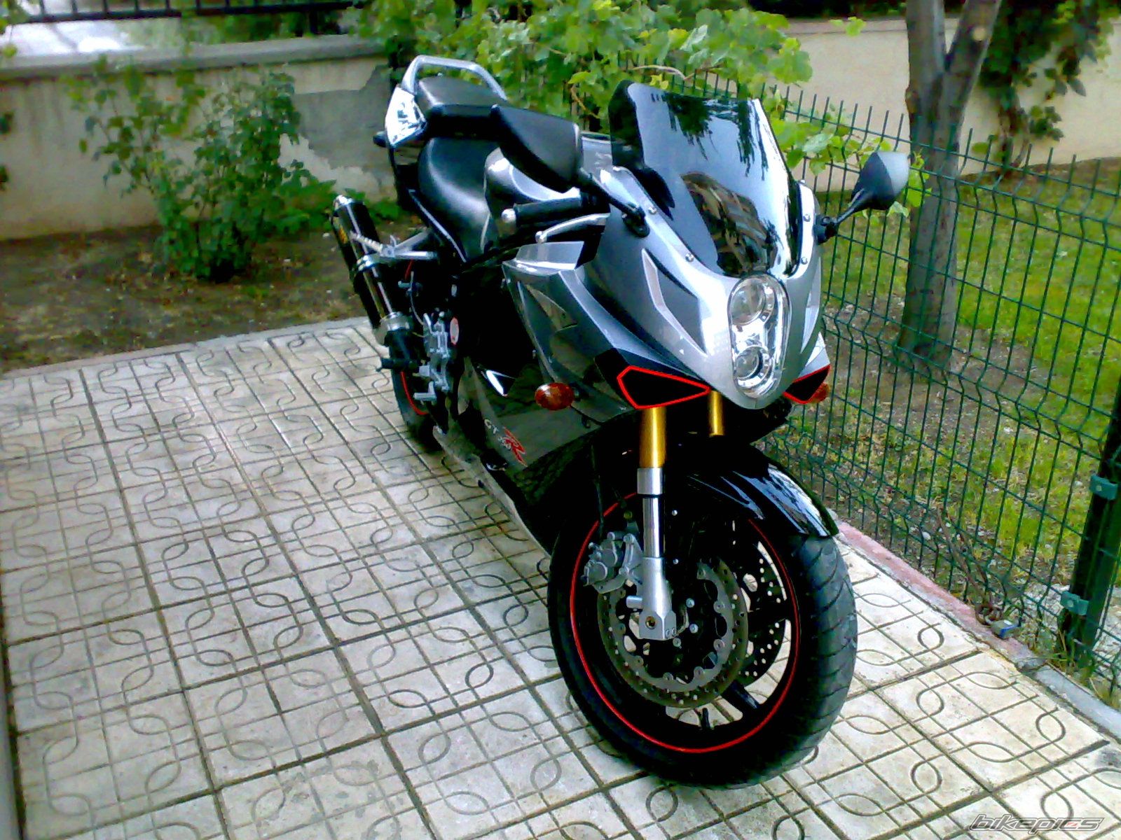 Photo 1469864