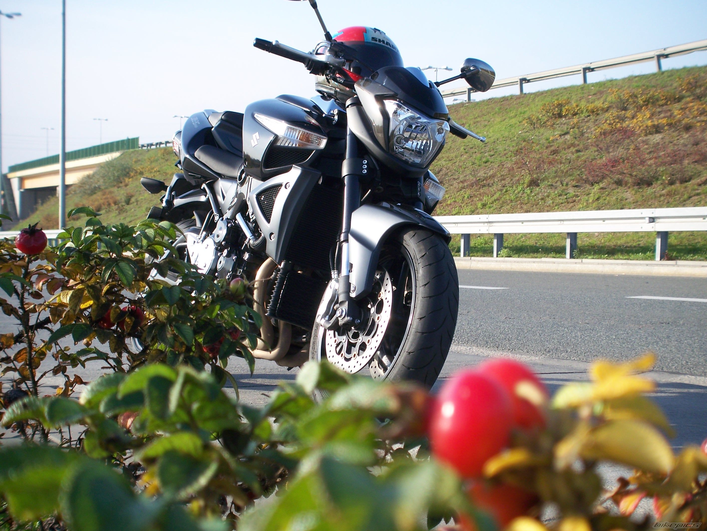 Photo 1469868