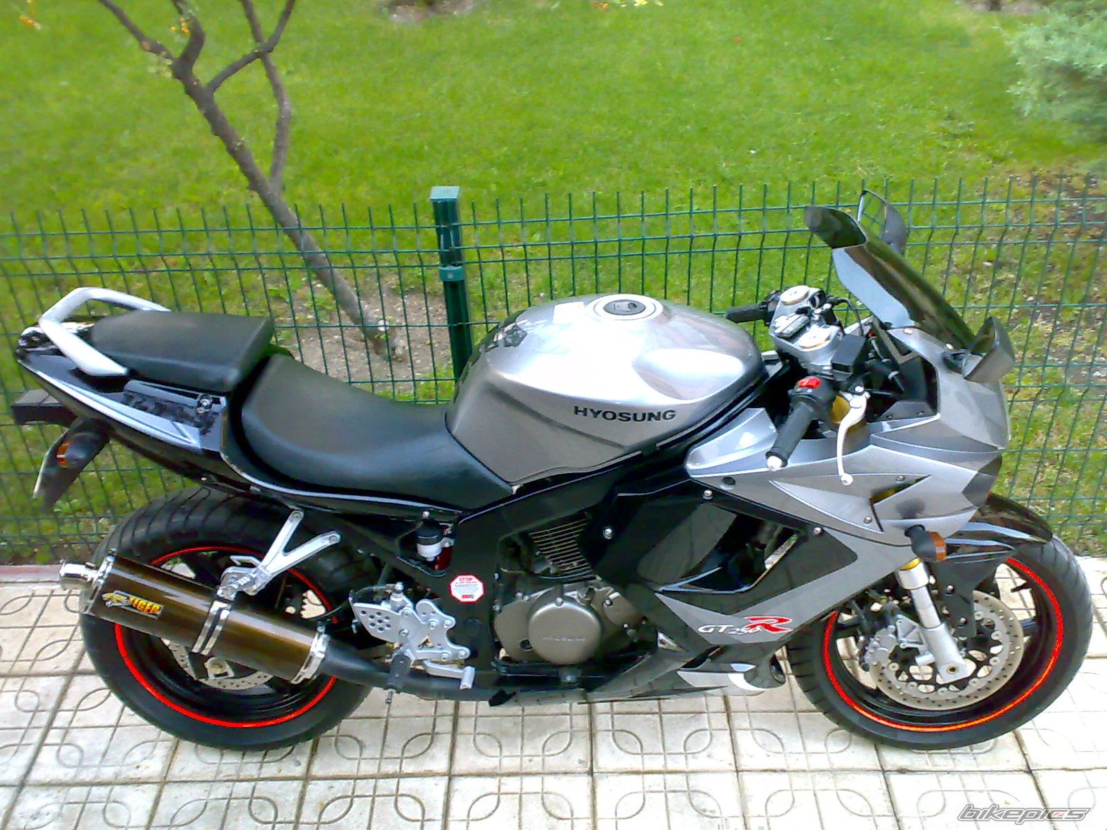 Photo 1469870