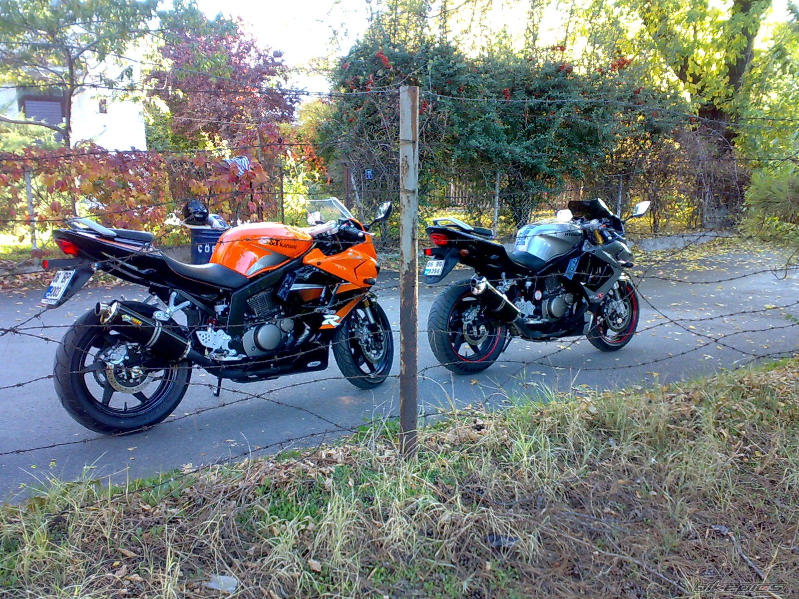 Photo 1469874