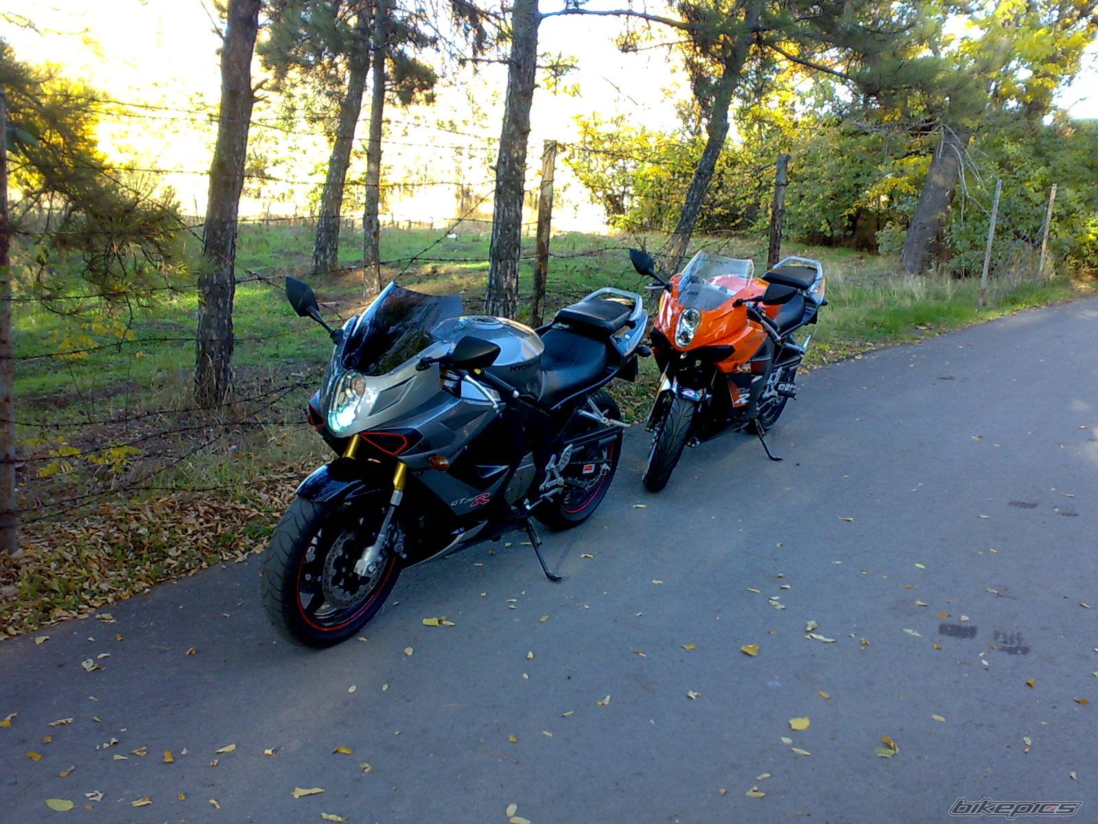 Bike Photo 1469883