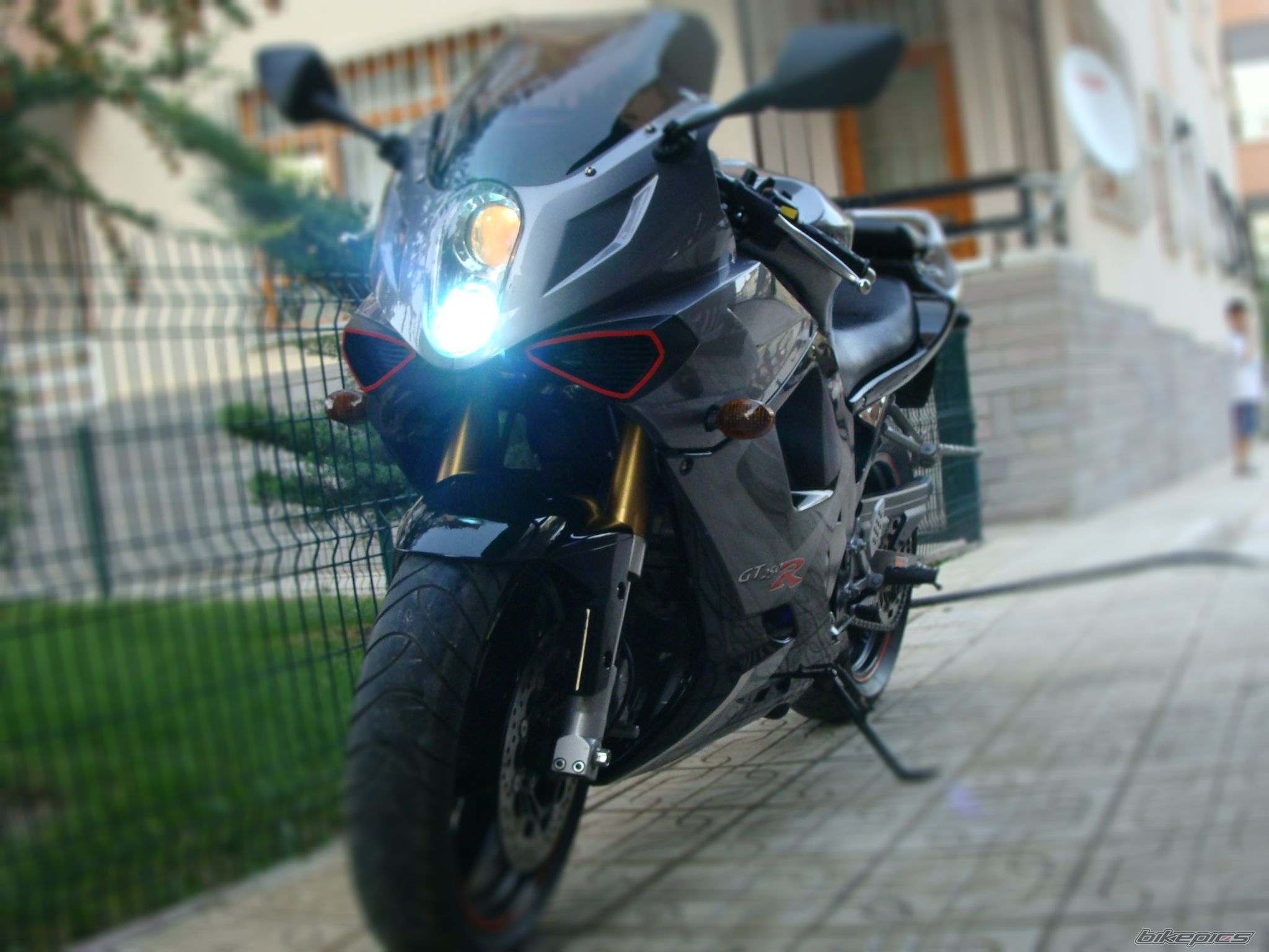Photo 1469887