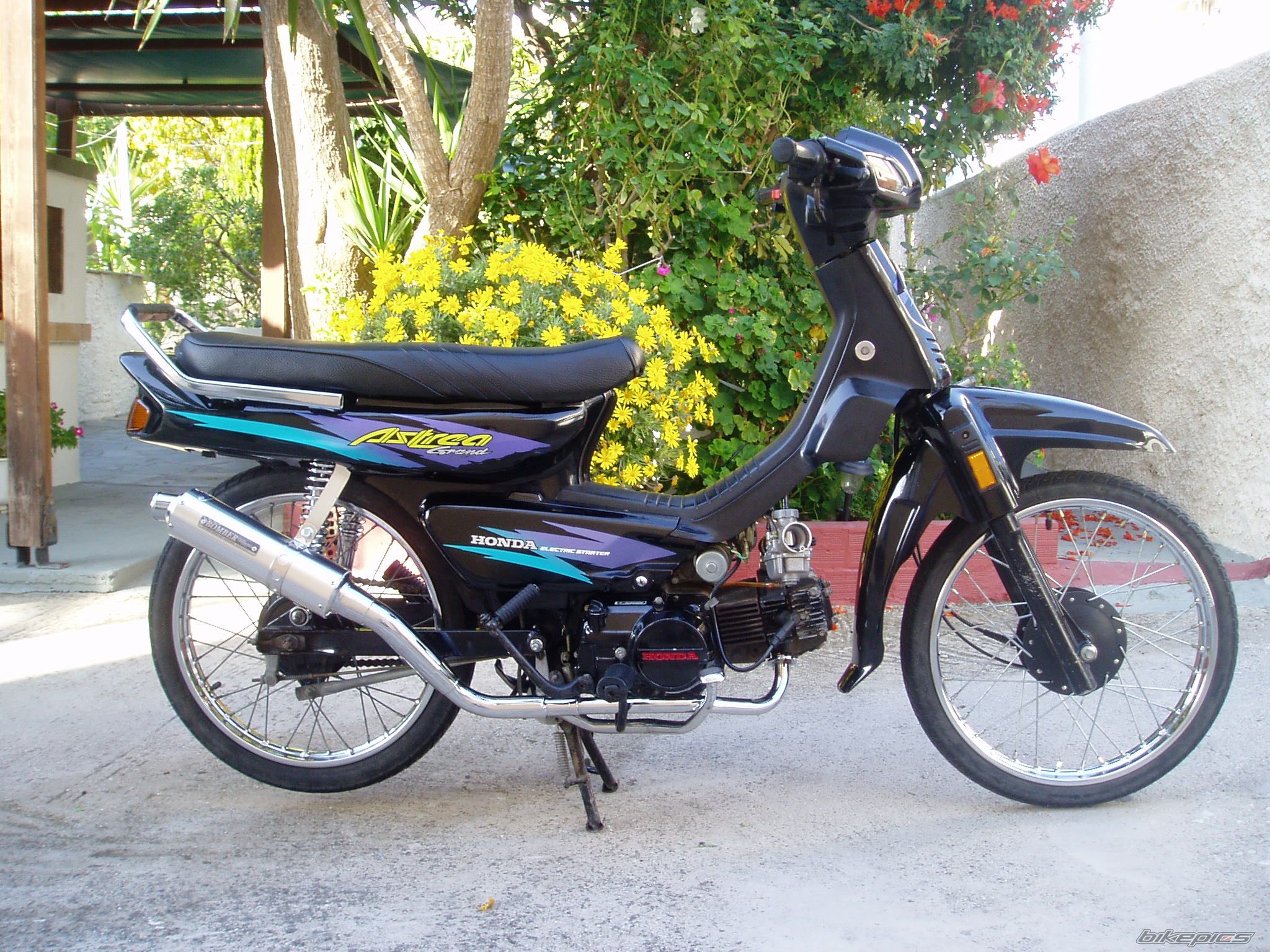Photo 1469921