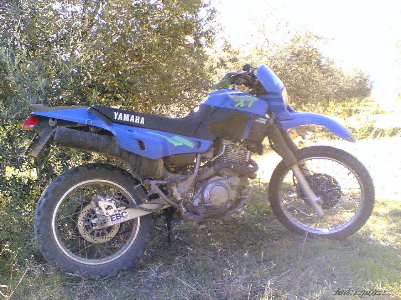 Photo 1469940