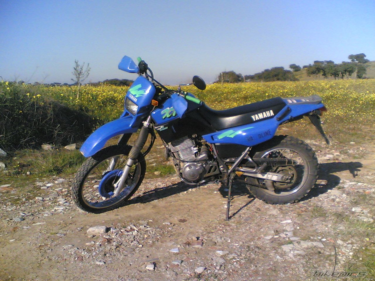 Photo 1469944