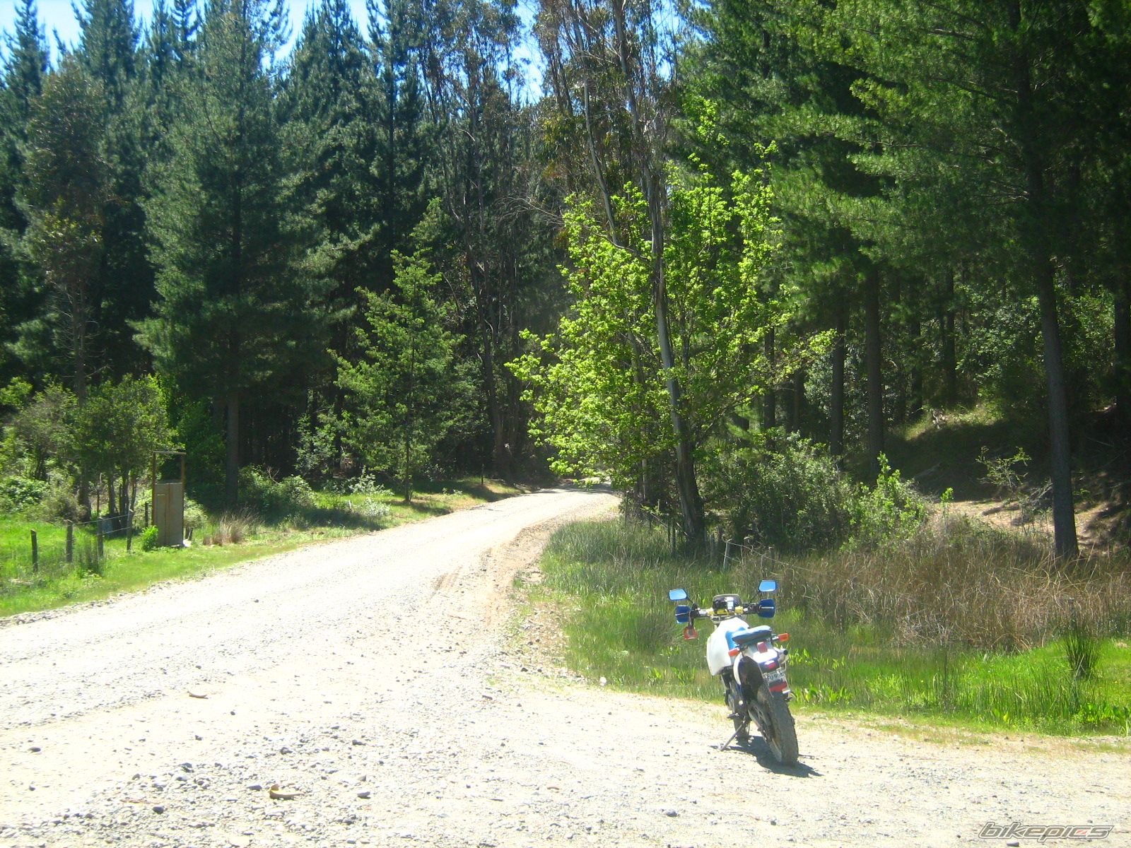Photo 1469950