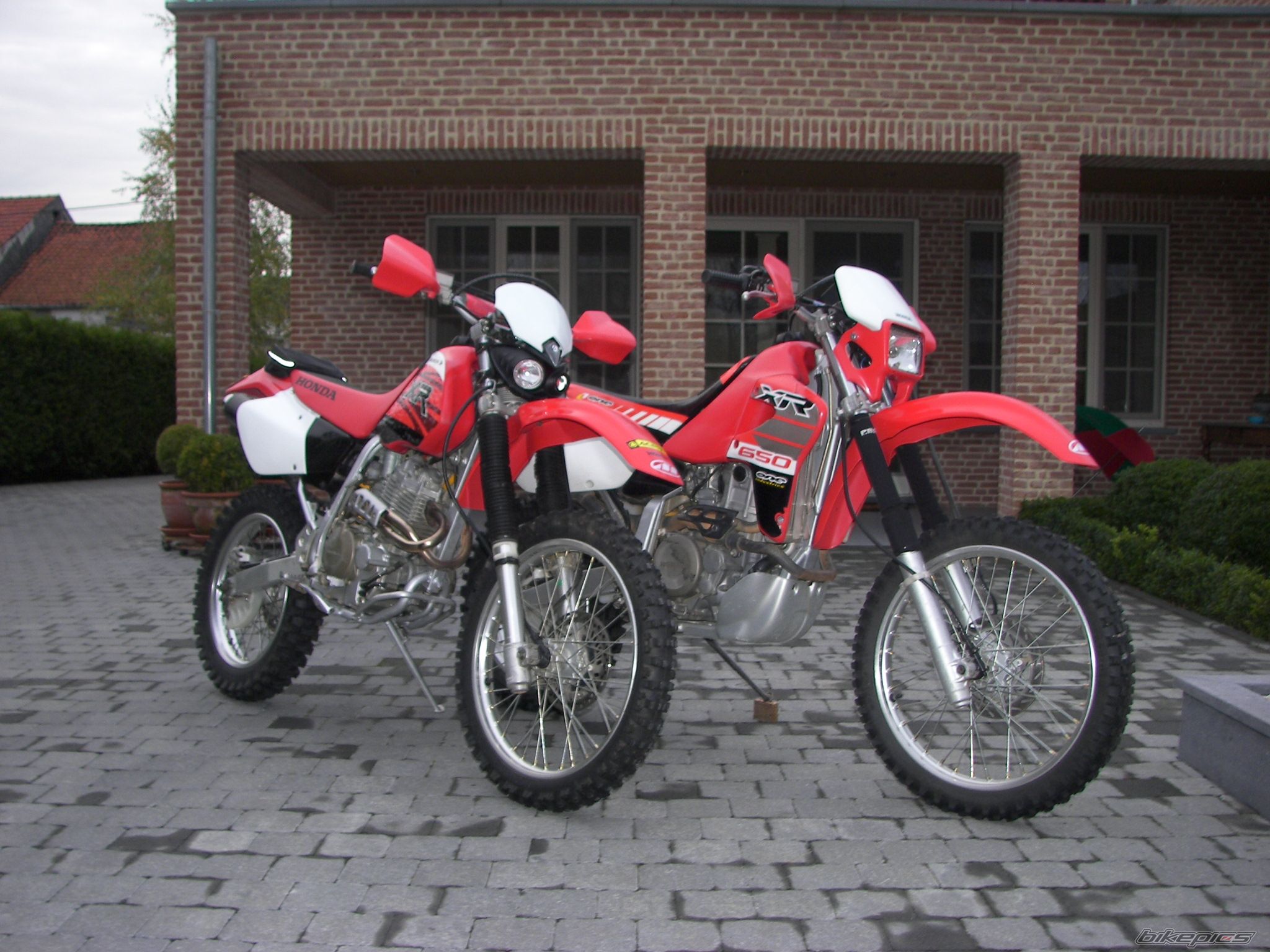 Photo 1469975