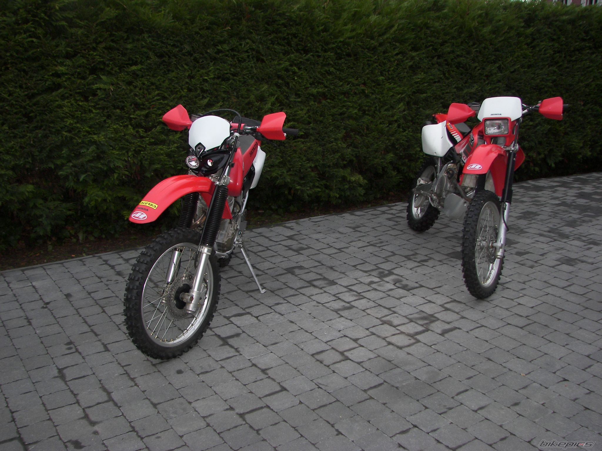 Photo 1469981
