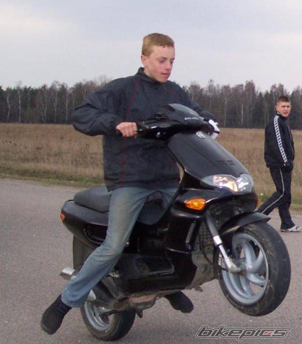 Photo 147003